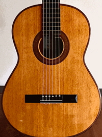 Gitarre